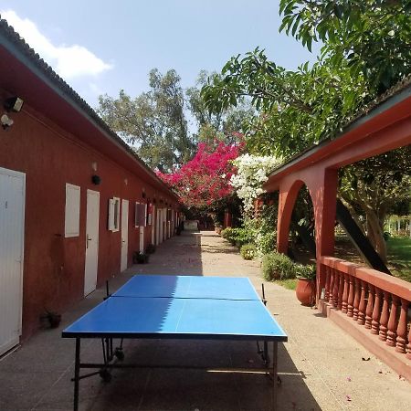 Ferme Hippique Chtouka Bed & Breakfast Dar Said Ben Hajj Exterior foto